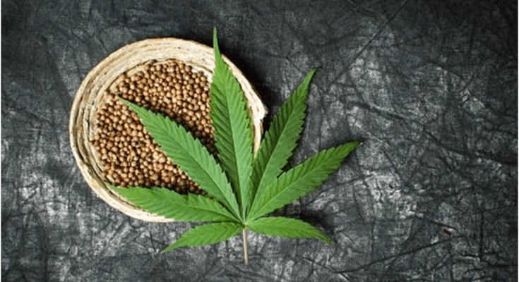 Benefits of Marijuana Seeds